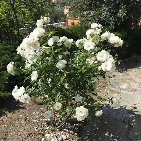 Appartamento Casa Bellavista Diano San Pietro